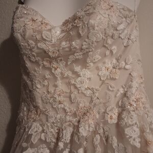 Elegant Blush Ballgown